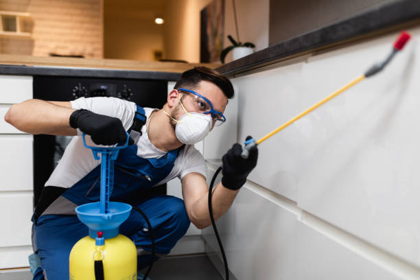 Best Pest Control Near Me  in Olyphant, PA
