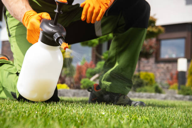 Best Residential Pest Control  in Olyphant, PA