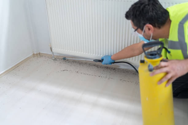 Best Ant Control Services  in Olyphant, PA
